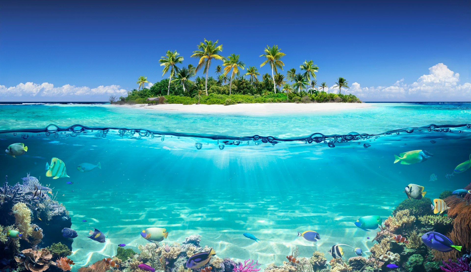 Book MSC Cruises Quickly and Easily with Sunweb!